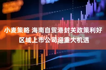 小麦策略 海南自贸港封关政策利好 区域上市公司迎重大机遇