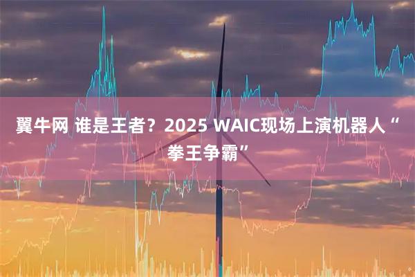 翼牛网 谁是王者？2025 WAIC现场上演机器人“拳王争霸”