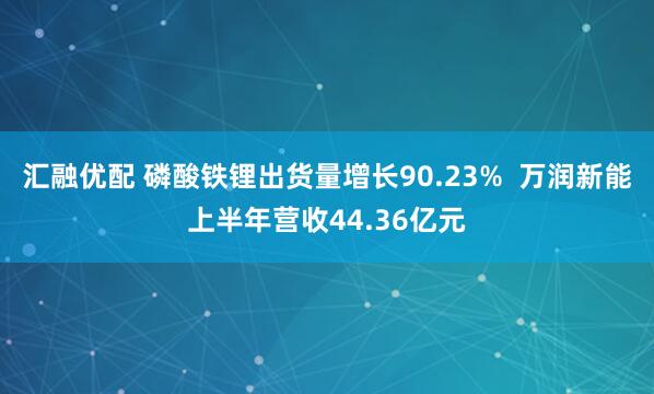 汇融优配 磷酸铁锂出货量增长90.23%  万润新能上半年营收44.36亿元
