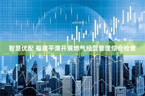 智慧优配 福建平潭开展燃气经营管理综合检查