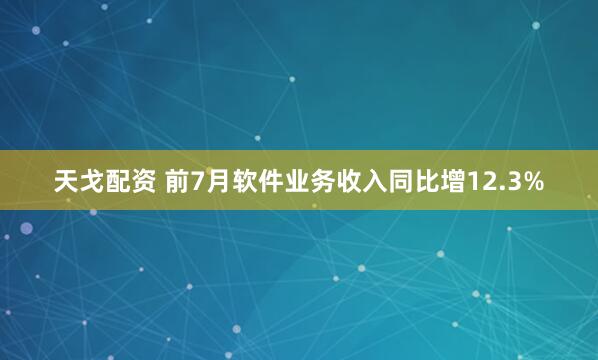 天戈配资 前7月软件业务收入同比增12.3%