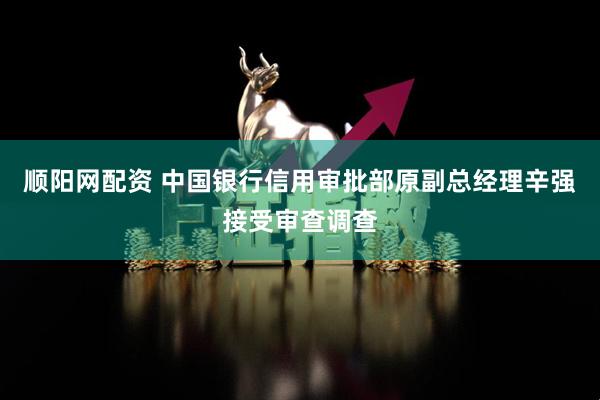 顺阳网配资 中国银行信用审批部原副总经理辛强接受审查调查