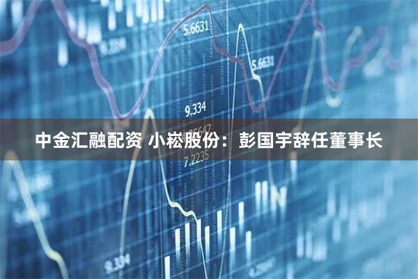中金汇融配资 小崧股份：彭国宇辞任董事长